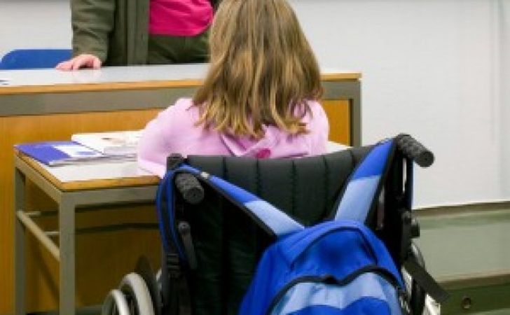 disabilit scuola