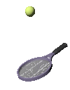 racchetta tennis