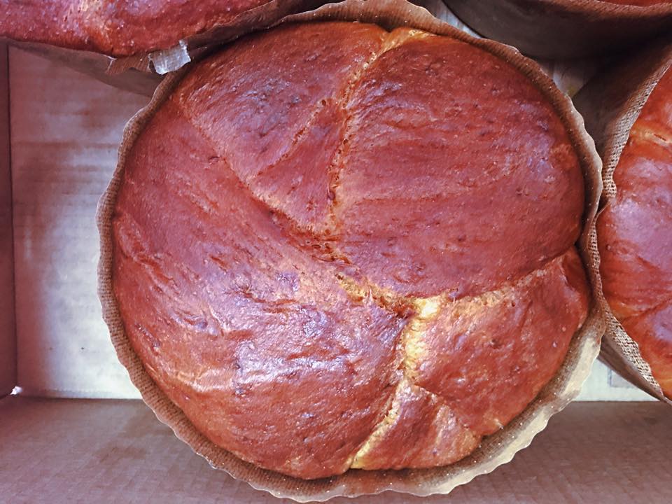 tortolo