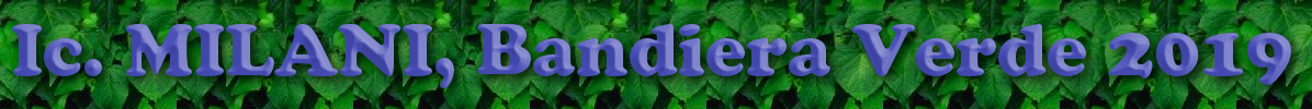 bandiera verde