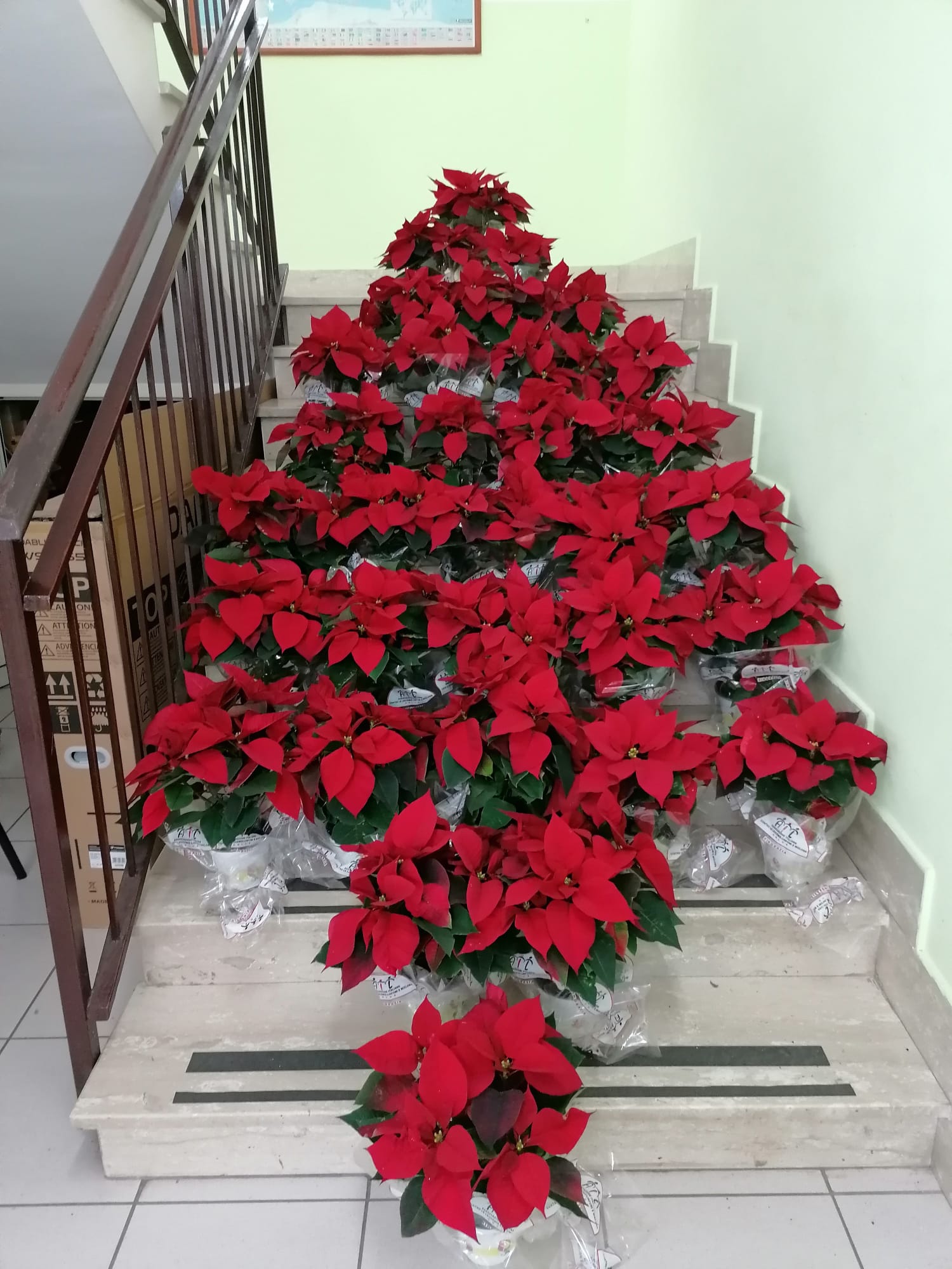 IMG 20211206 WA0001