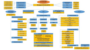 organigramma 21 22