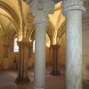 Abbazia di Fossanova (classi 2 e 3) Progetto Sapere i Sapori