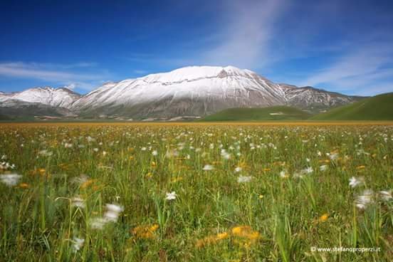 Norcia