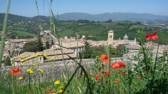 Norcia