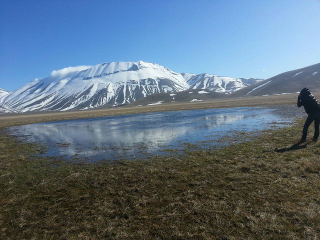 Norcia