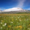 Norcia