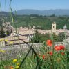 Norcia