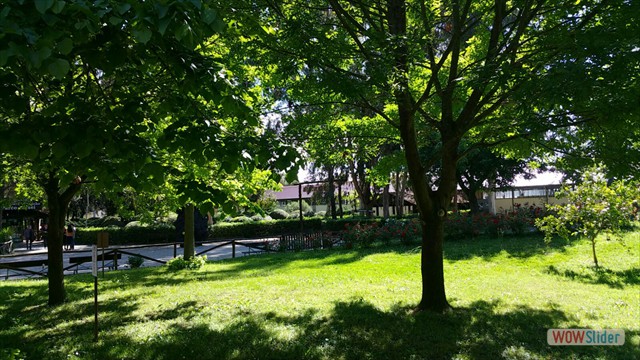 IMG-20160503-WA0001 IMG-20160503-WA0001