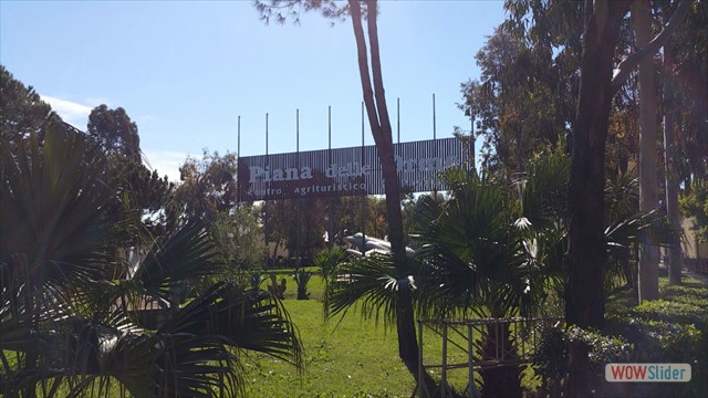 IMG-20160503-WA0004 IMG-20160503-WA0004