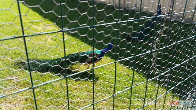 IMG-20160503-WA0015 IMG-20160503-WA0015