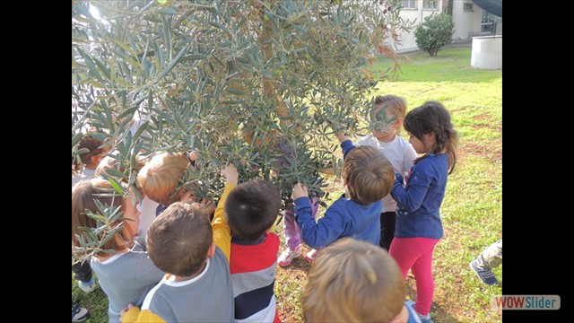 DSCN2260 DSCN2260