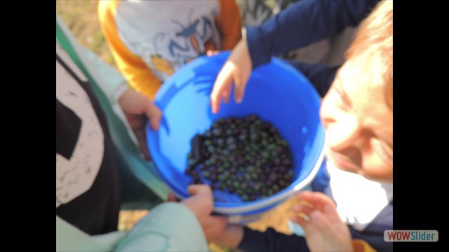 DSCN2270 DSCN2270
