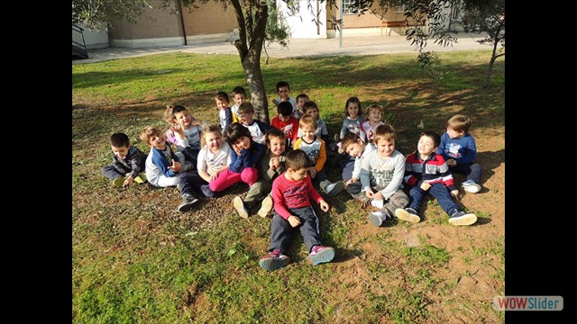 DSCN2281 DSCN2281