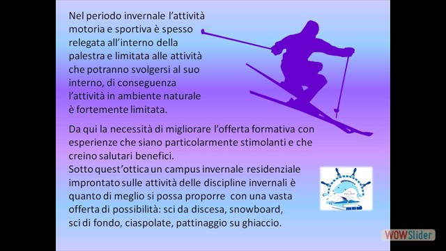 Diapositiva2