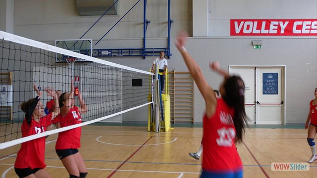 12096107_1173392972690483_6709994329292998984_n 12096107_1173392972690483_6709994329292998984_n