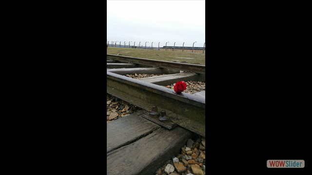 IMG-20160126-WA0004 IMG-20160126-WA0004