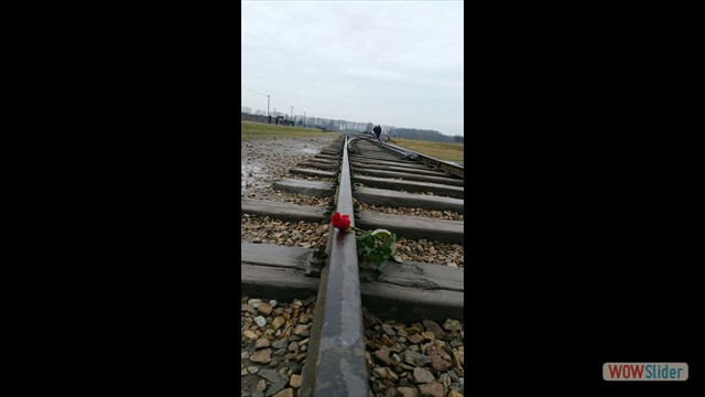 IMG-20160126-WA0005 IMG-20160126-WA0005