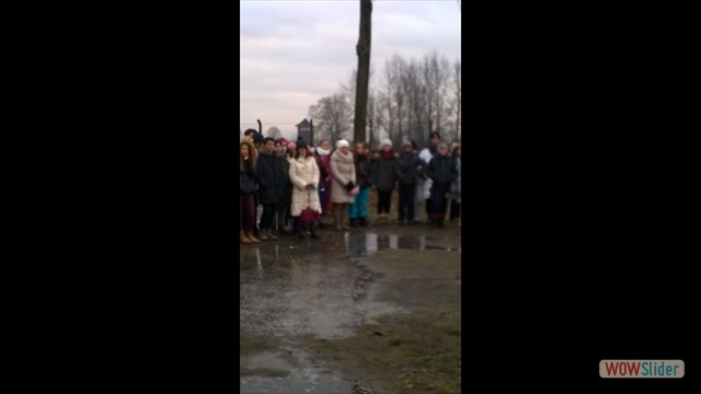 IMG-20160126-WA0034 IMG-20160126-WA0034