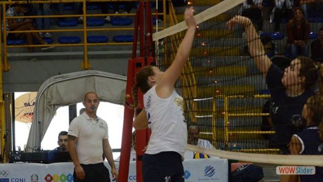11181779_1173736762656104_8146393198103972430_n 11181779_1173736762656104_8146393198103972430_n