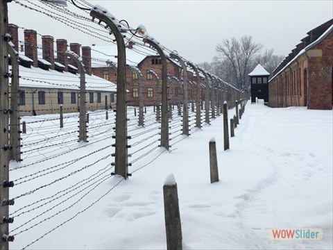 IMG-20160127-WA0009 IMG-20160127-WA0009