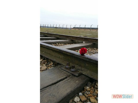 IMG-20160126-WA0004 IMG-20160126-WA0004