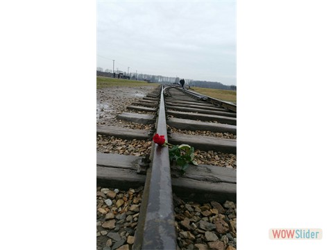 IMG-20160126-WA0005 IMG-20160126-WA0005