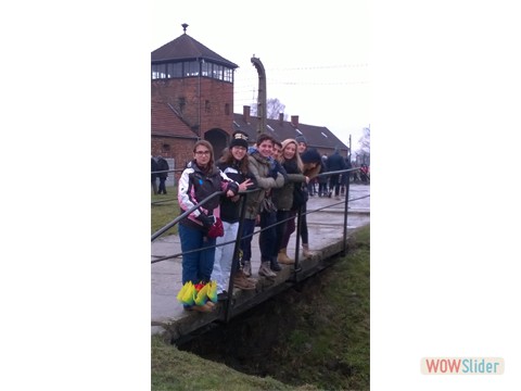 IMG-20160126-WA0006 IMG-20160126-WA0006