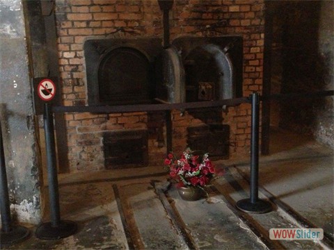 IMG-20160127-WA0004 IMG-20160127-WA0004