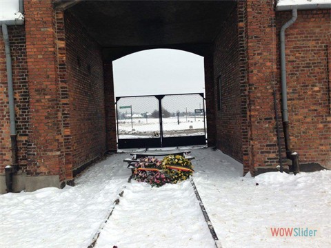 IMG-20160127-WA0005 IMG-20160127-WA0005